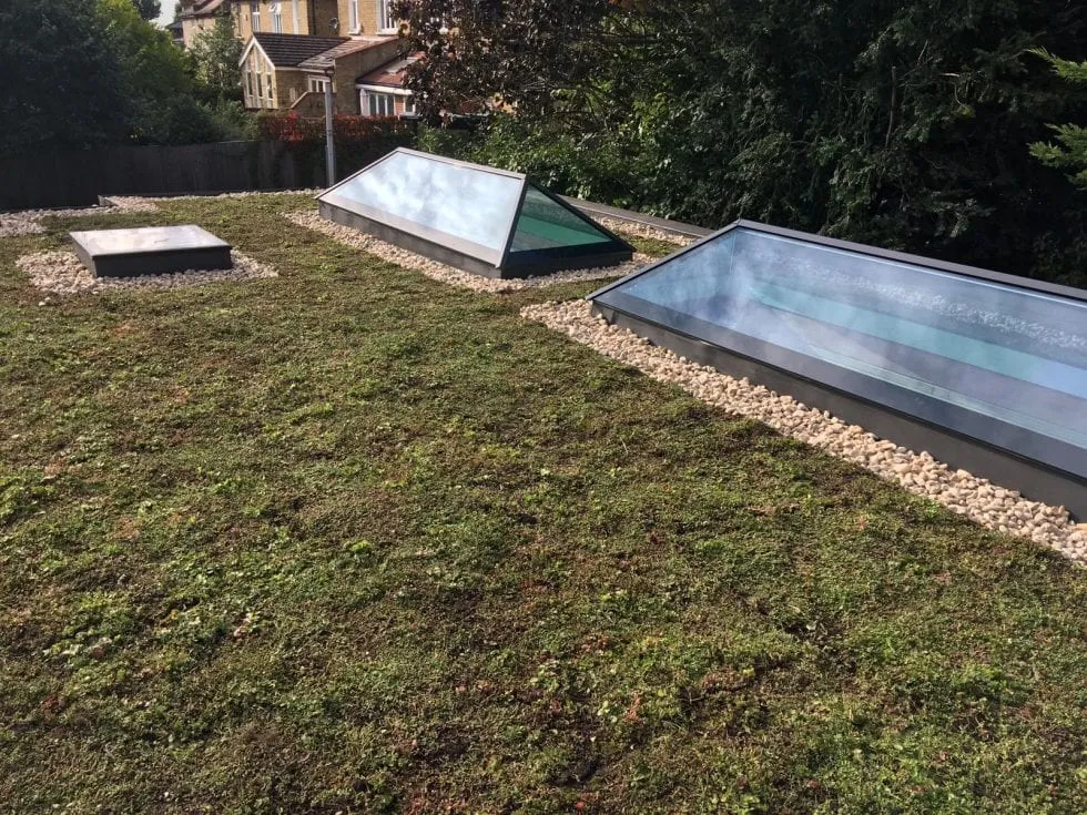 Sedum green roof by Smartseal Flat Roofing, Reigate