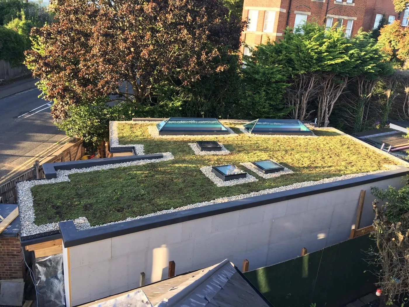 Sedum green roof by Smartseal Flat Roofing, Reigate