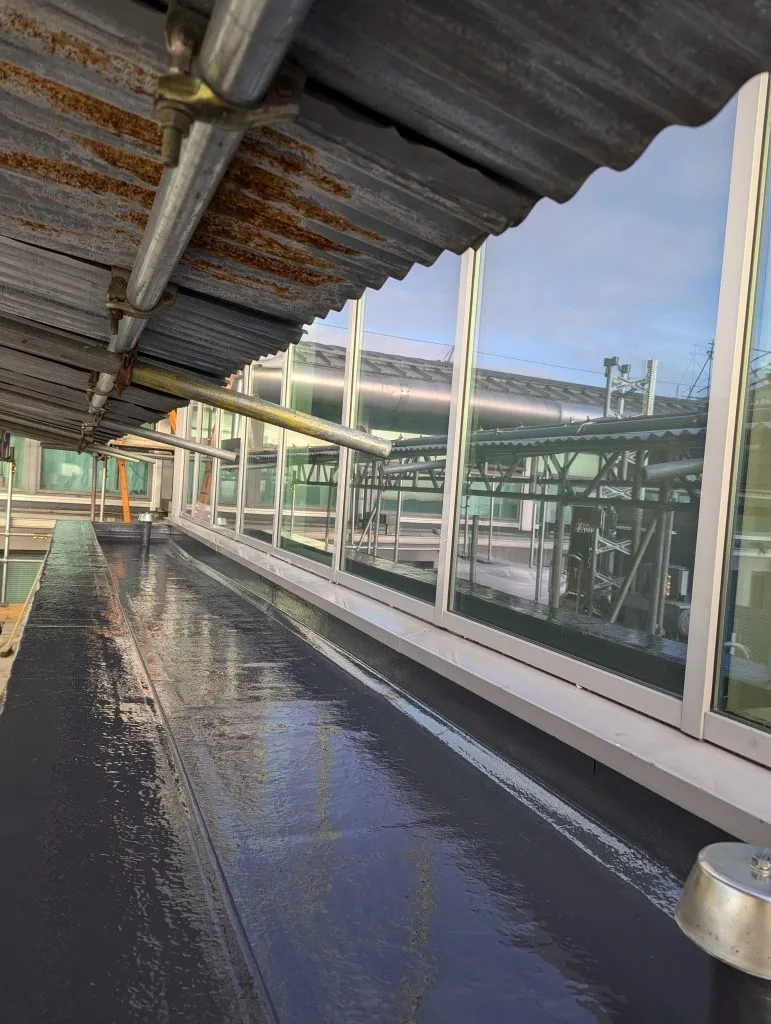 GRP flat roof by Smartseal Flat Roofing, Feltham