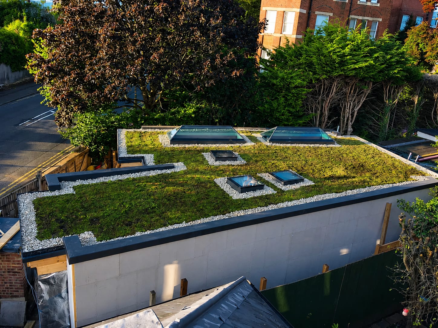 Sedum green GRP flat roof with rooflights in Reigate, Surrey